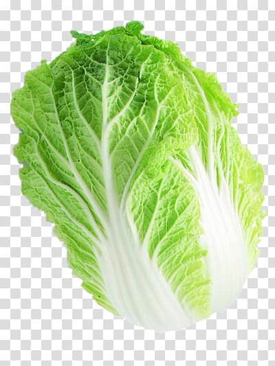 Romaine lettuce Capitata Group Chinese cabbage Napa cabbage Vegetable, vegetable transparent background PNG clipart
