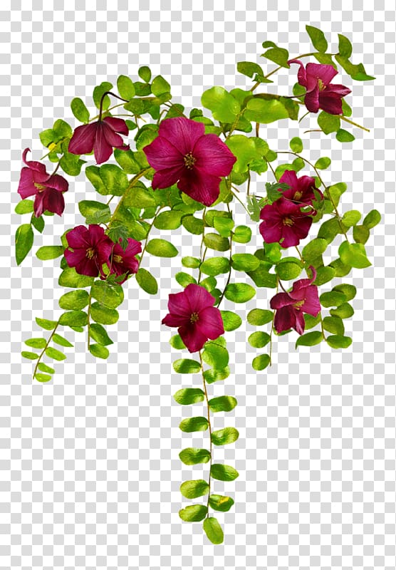 Floral design Flower Plant Rose, بسم الله الرحمن الرحيم transparent background PNG clipart