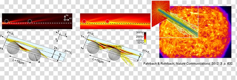 Light sheet fluorescence microscopy Bessel beam Wave interference Holography, light transparent background PNG clipart