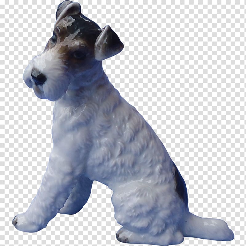 Miniature Schnauzer Wire Hair Fox Terrier Lakeland Terrier Dog breed, jack russell terrier transparent background PNG clipart