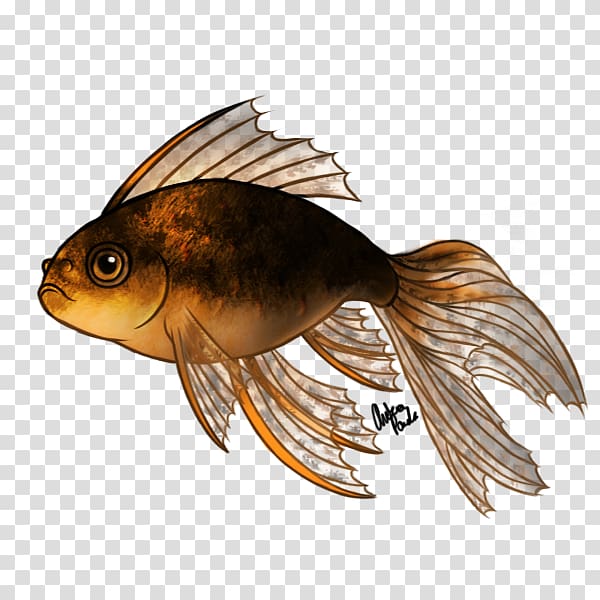 Fantail Oranda Lionhead Koi Fish, goldfish transparent background PNG clipart