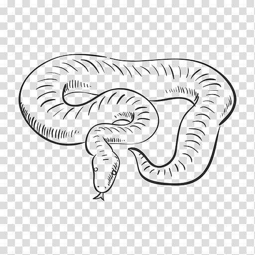 Snake Drawing Line art, snakes transparent background PNG clipart