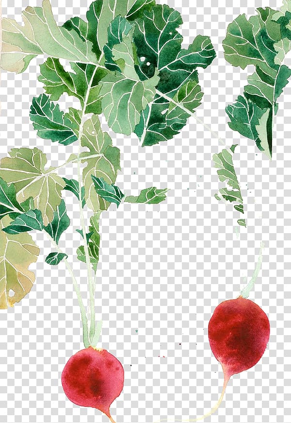 Watercolor painting Visual arts Sketch, Hand-painted carrot transparent background PNG clipart