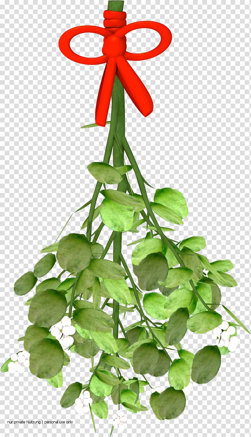 Viscum Flowerpot Plant stem Symbol, others transparent background PNG clipart