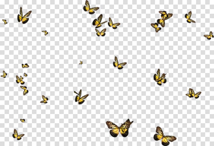 Portable Network Graphics Adobe shop Drawing, Black Butterfly transparent background PNG clipart