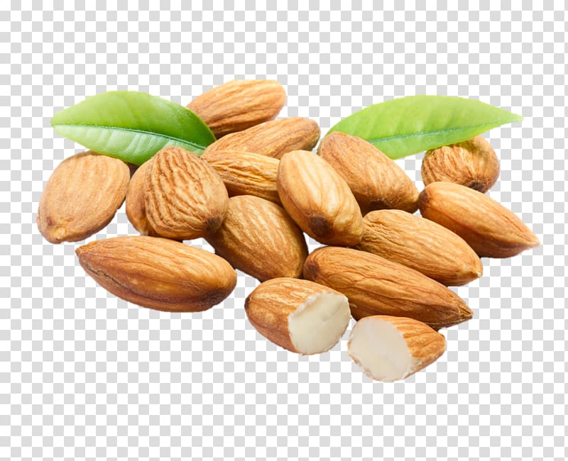 Almond meal Moksha Lifestyle Products Nut Almond oil, almond transparent background PNG clipart