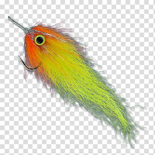 Bird Parrot Beak Feather Wing, floating streamer transparent background PNG clipart