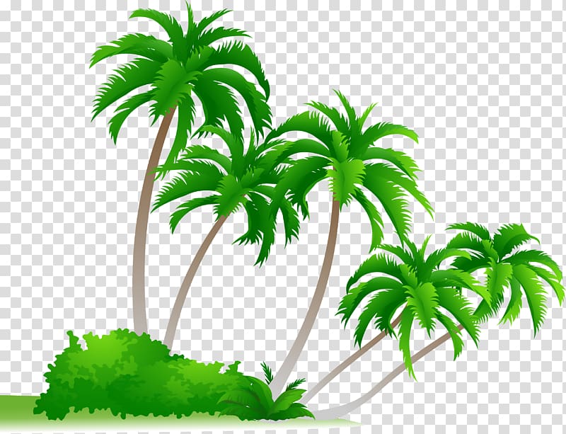 Arecaceae Cdr Drawing , beautiful coconut trees transparent background PNG clipart