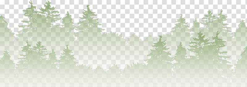 misty woods transparent background PNG clipart