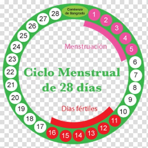 Menstruation Menstrual cycle Fertility Woman Combined oral contraceptive pill, woman transparent background PNG clipart