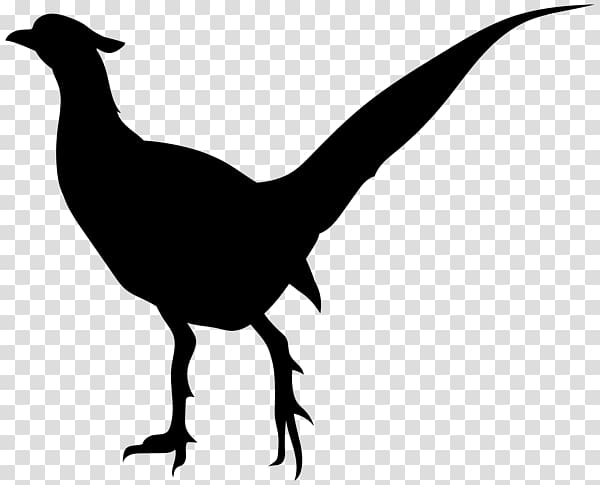 Bird Silhouette , silhouette birds transparent background PNG clipart Bird Silhouette , silhouette birds transparent background PNG clipart