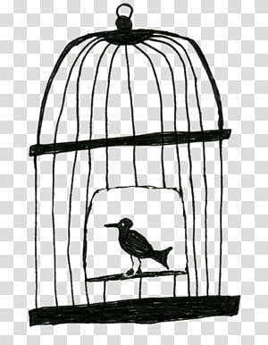 Lovebird Birdcage Drawing, birdcage transparent background PNG clipart thumbnail