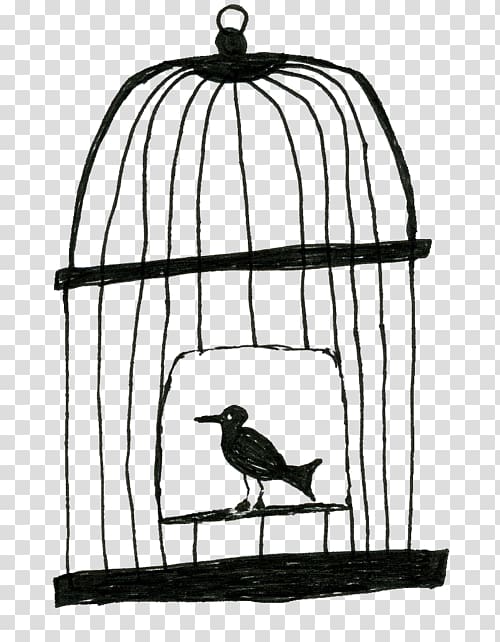 Lovebird Birdcage Drawing, birdcage transparent background PNG clipart Lovebird Birdcage Drawing, birdcage transparent background PNG clipart