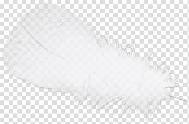 Feather White Black, feather transparent background PNG clipart