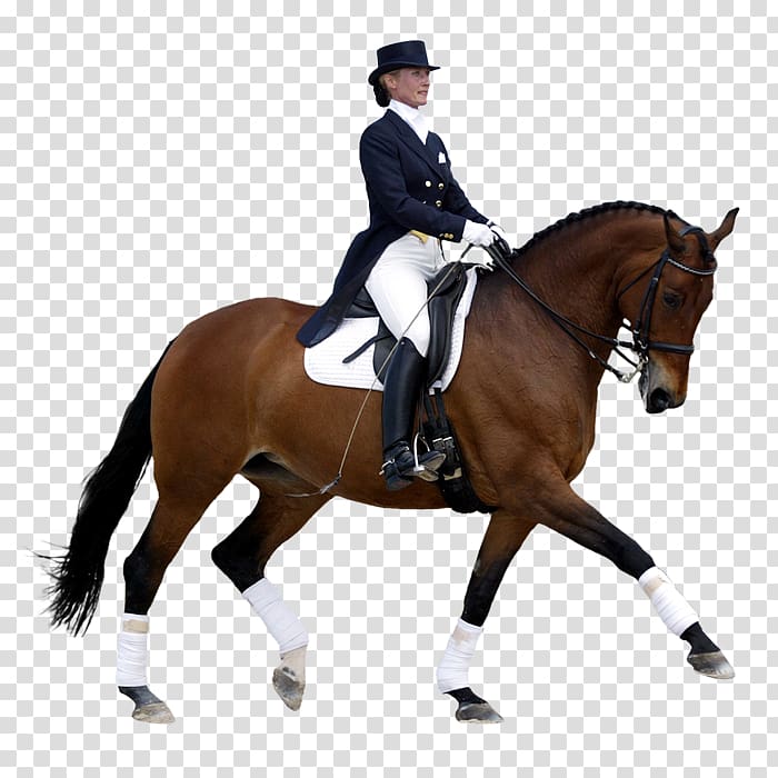Horse Dressage International Federation for Equestrian Sports Eventing, jumping transparent background PNG clipart