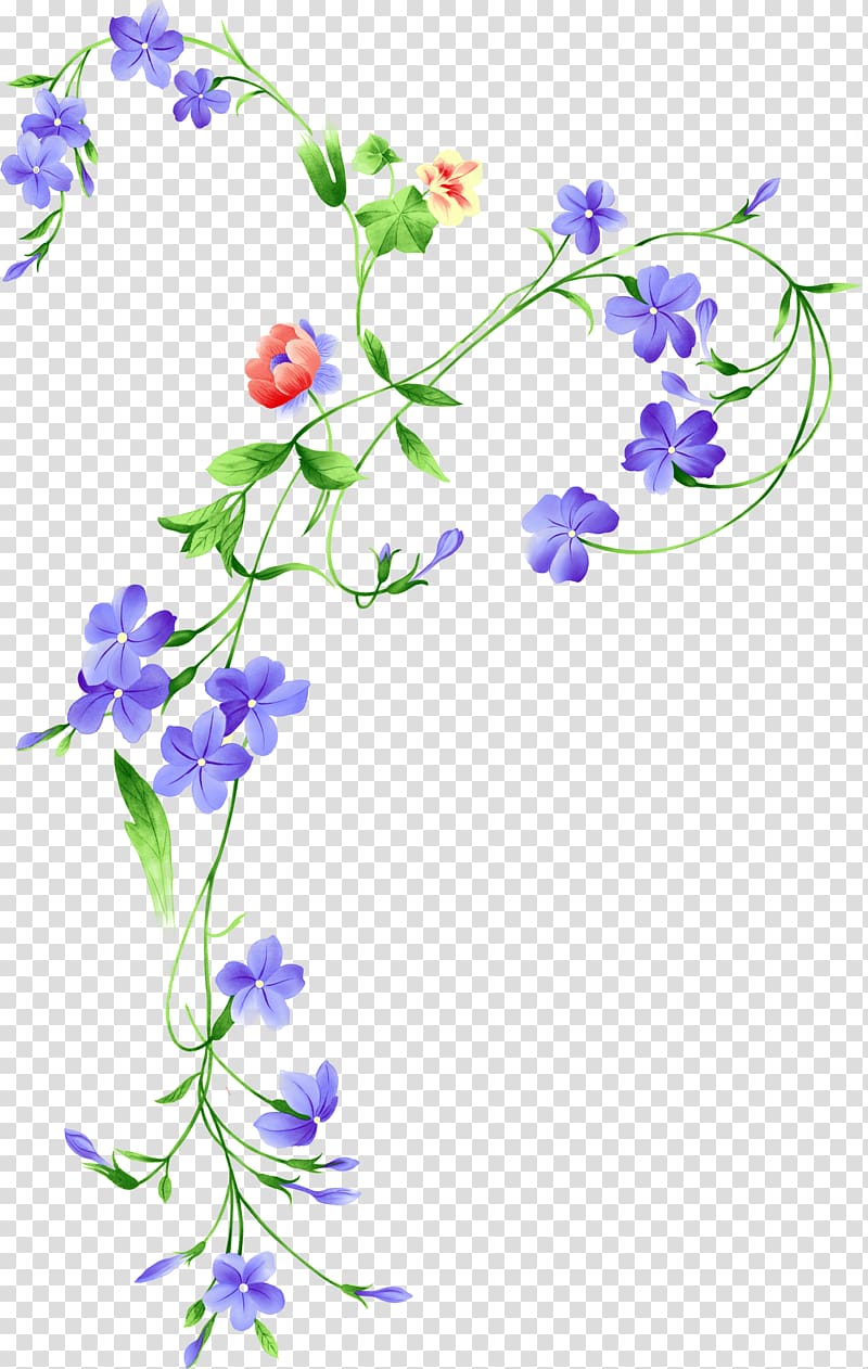 Flower, flower transparent background PNG clipart