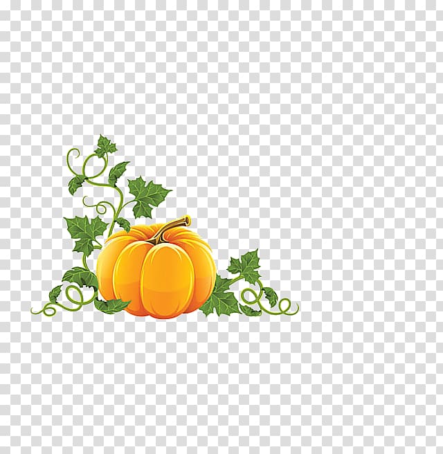 Pumpkin Halloween , pumpkin transparent background PNG clipart