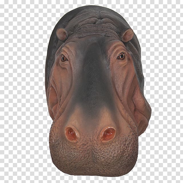 Pig\'s ear Face Nose Snout Head, hippo transparent background PNG clipart