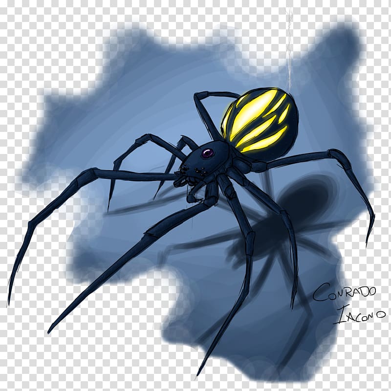 Widow spiders Angulate orbweavers STX G.1800E.J.M.V.U.NR YN Insect, spider transparent background PNG clipart