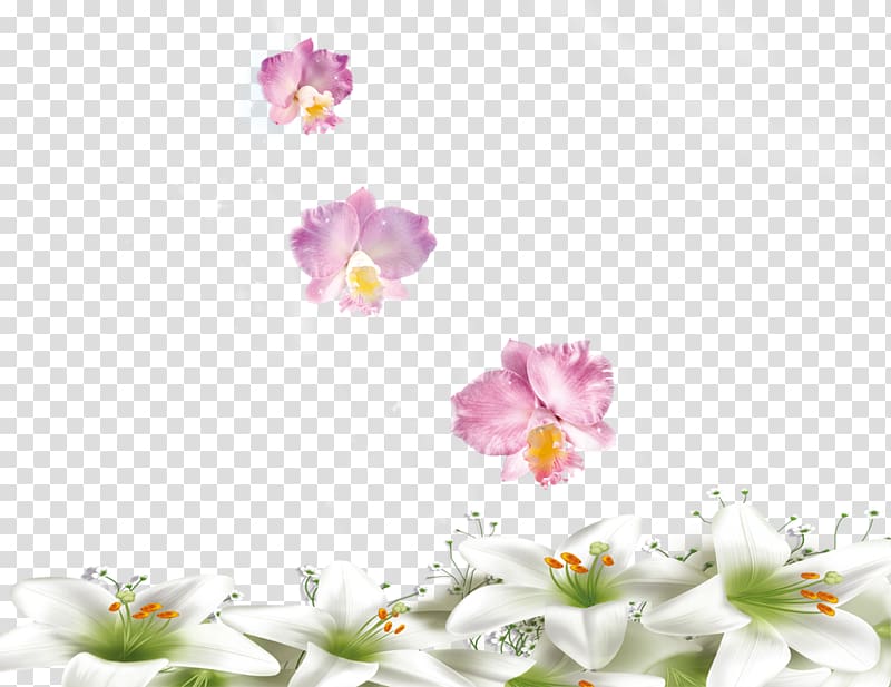 Floral design Flower Lilium, White Lily transparent background PNG clipart