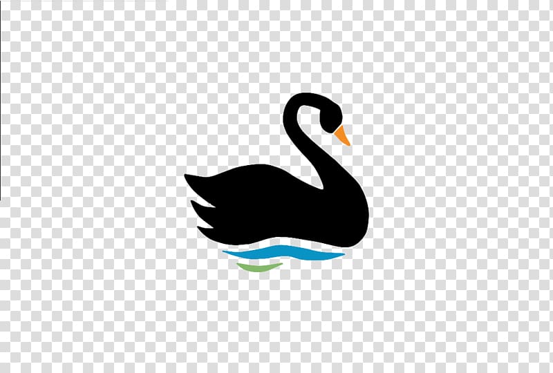 The Black Swan: The Impact of the Highly Improbable Duck Bird Black swan theory, swan transparent background PNG clipart