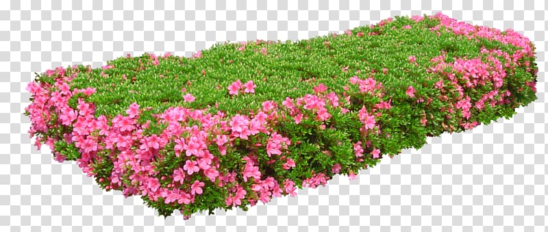 Flower garden Flower garden Gratis, GARDEN transparent background PNG