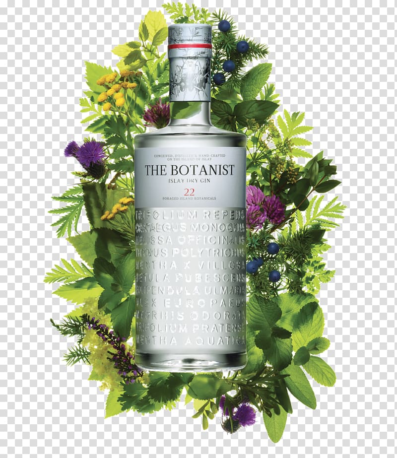 Islay The Botanist Gin Liquor Whiskey, cocktail transparent background PNG clipart