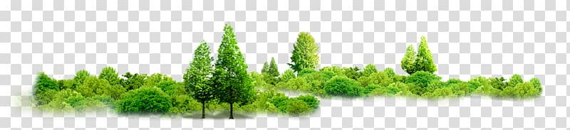green trees with grass art, Tree House , Vision Tree grass group transparent background PNG clipart