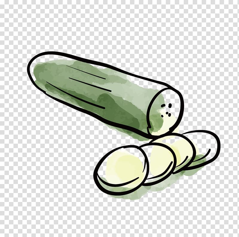 Pickled cucumber Vegetable, cucumber transparent background PNG clipart