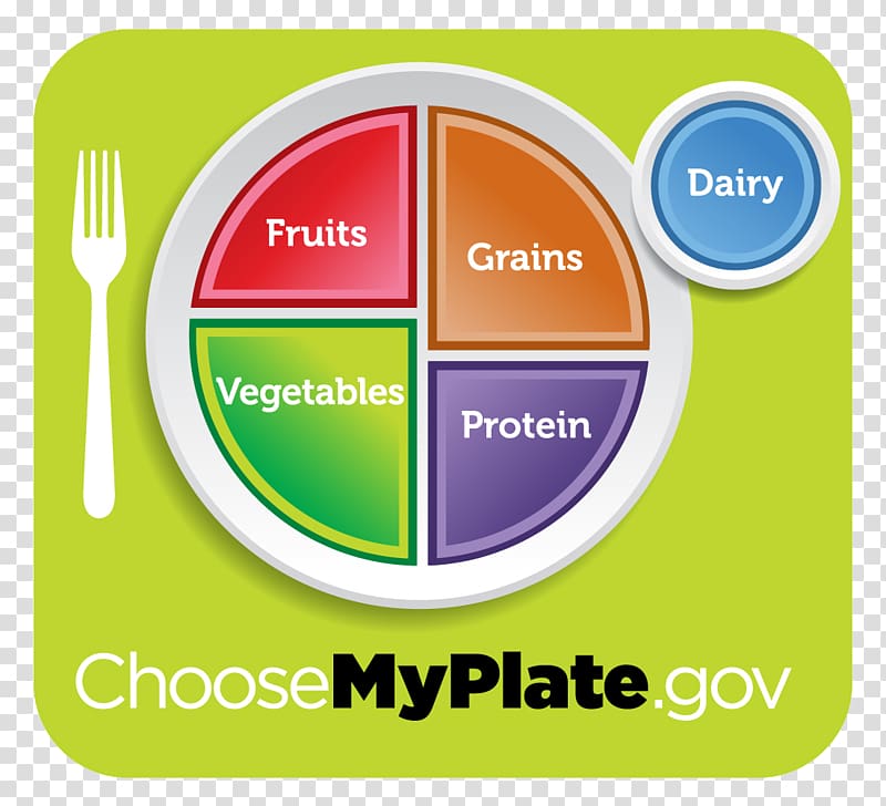 MyPlate Nutrition Food Health Serving size, fork transparent background PNG clipart