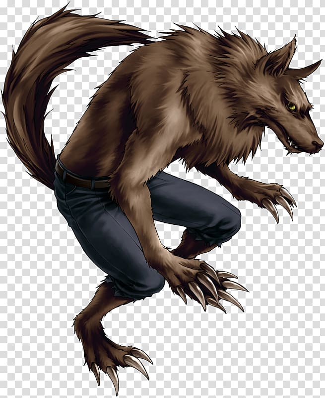 Werewolf transparent background PNG clipart