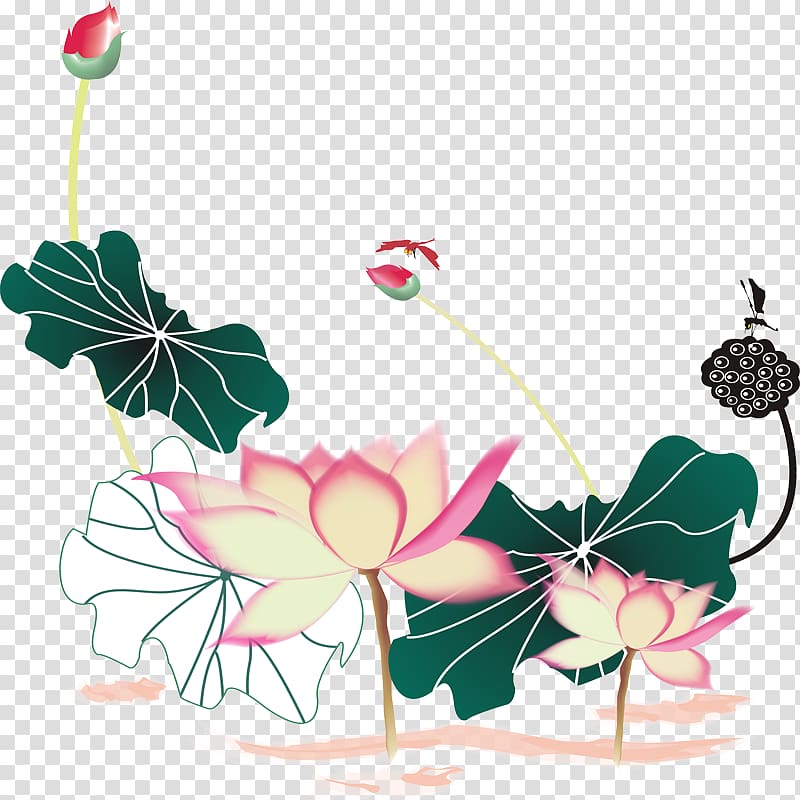 Nelumbo nucifera Floral design Nelumbo lutea, Hand-painted lotus transparent background PNG clipart