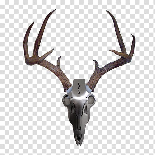 White-tailed deer Antler Iron Mule deer, Antler transparent background PNG clipart