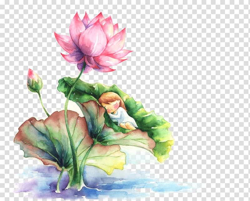 Watercolor painting Nelumbo nucifera, Cartoon lotus transparent background PNG clipart