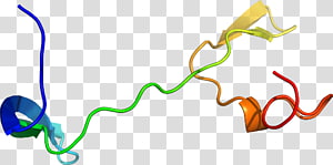 Organism , design transparent background PNG clipart thumbnail