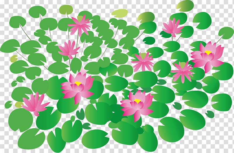Designer, Cartoon lotus lotus transparent background PNG clipart