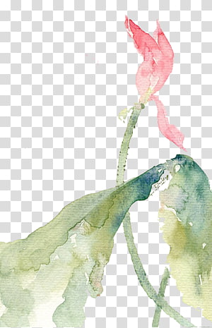 Watercolor painting Art Creative work Illustration, Lotus transparent background PNG clipart thumbnail