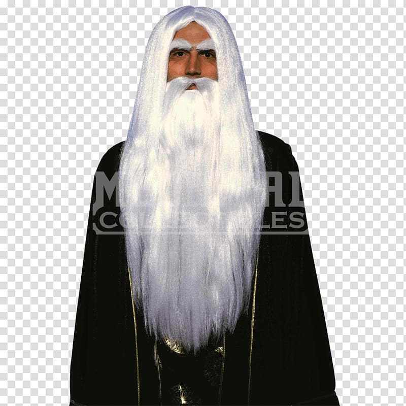 Gandalf Saruman Merlijn The Lord of the Rings: The Fellowship of the Ring Magician, wig sets transparent background PNG clipart