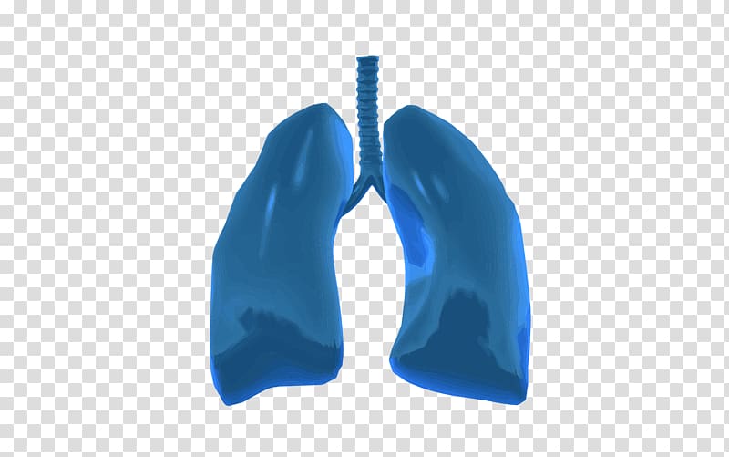 Lung on a chip Organ-on-a-chip Tissue, lungs transparent background PNG clipart