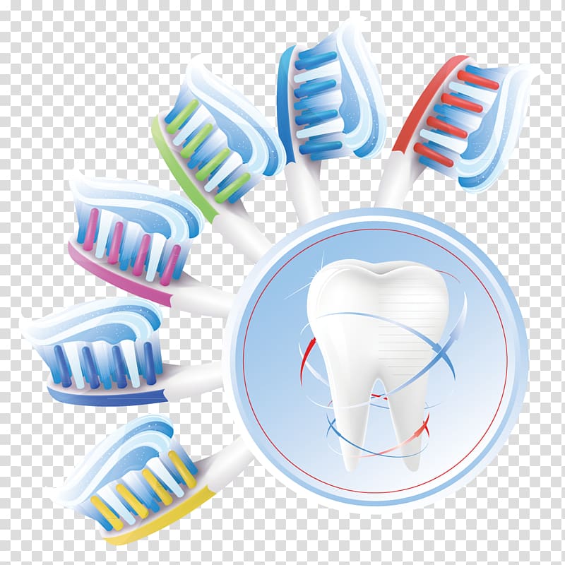 teeth , Human tooth Dentistry Teeth cleaning, Toothbrush teeth transparent background PNG clipart