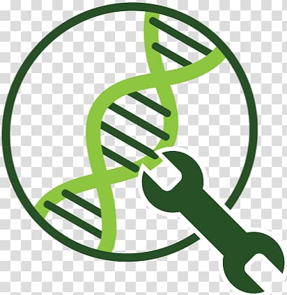 Algae fuel Genetic engineering Genetics, others transparent background PNG clipart