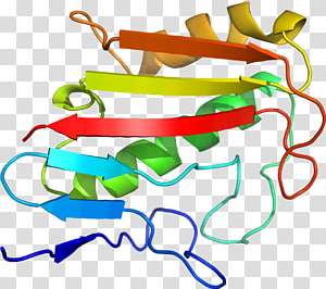 Line , design transparent background PNG clipart thumbnail