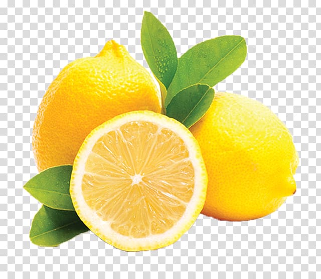 Mayorazgo Export S.L. Lemon Agesco SL Sorbet Fruit, lemon transparent background PNG clipart