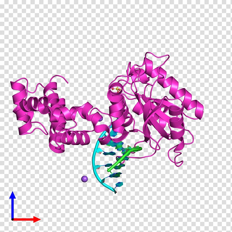 Protein Data Bank Structural Classification of Proteins database Pfam CATH database, transparent background PNG clipart