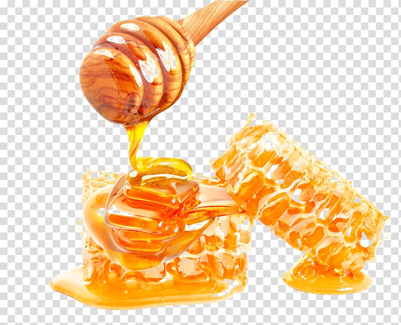 Honeycomb Honey bee, Tasty treats transparent background PNG clipart