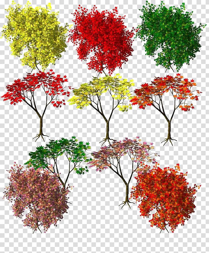 Maple Autumn leaf color Autumn leaf color Red, Autumn leaves Seasons transparent background PNG clipart