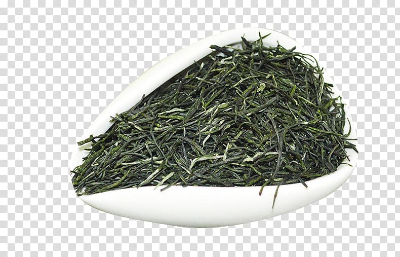 Xinyang Maojian tea Xinyang Maojian tea Gyokuro Green tea, Xinyang special Maojian tea transparent background PNG clipart