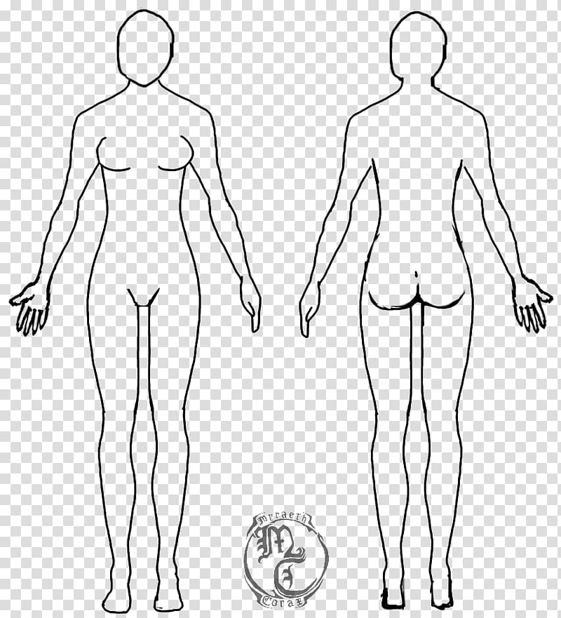 Human body Female body shape Diagram Drawing Template, Body Human