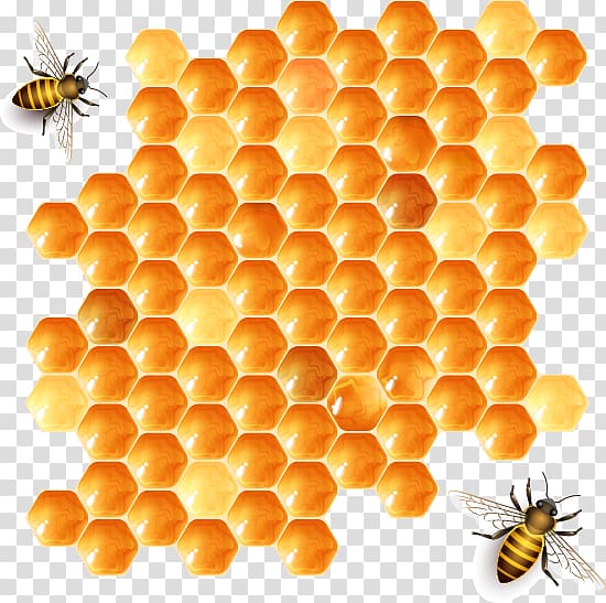 bees and honey comb illustration, Beehive Honeycomb Honey bee, Bee transparent background PNG clipart