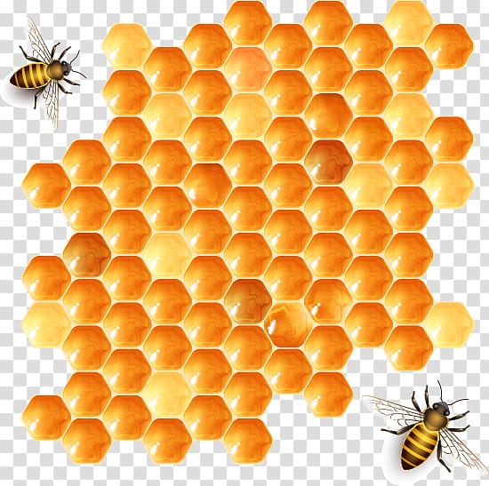 Honeycomb Clipart Images, Free Download